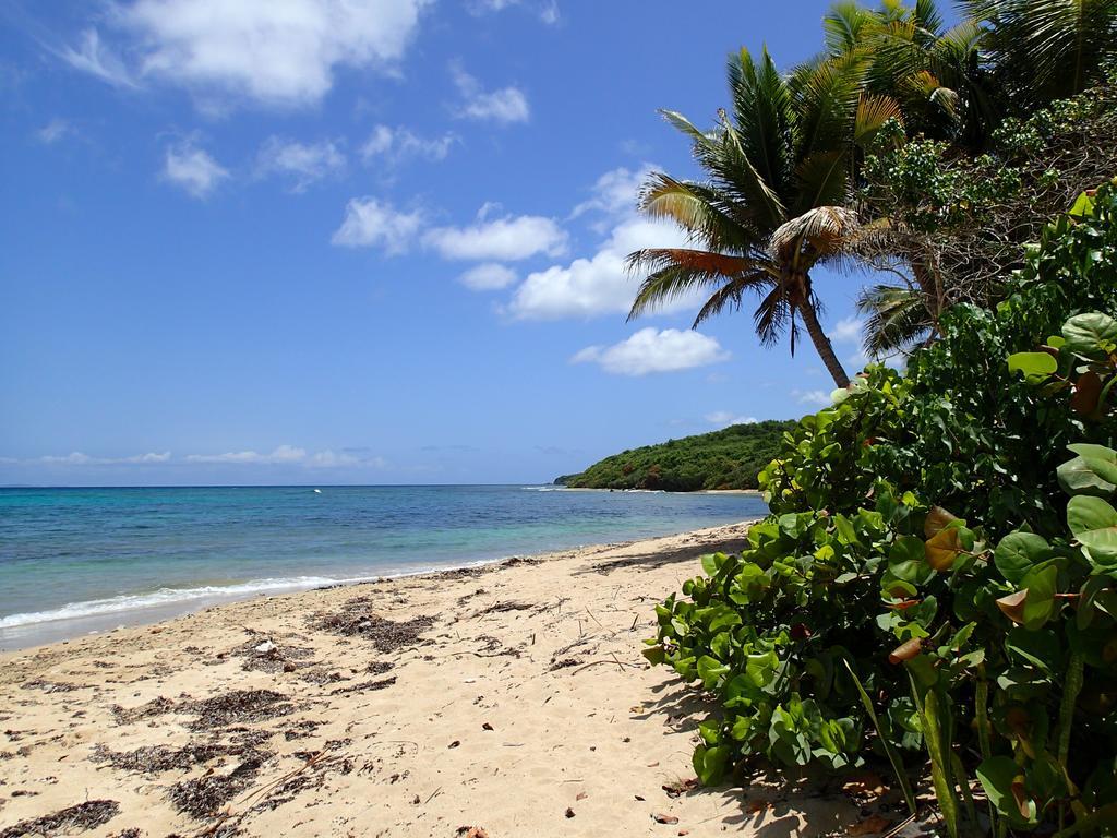 Ababor Suites Guesthouse Vieques Exterior foto