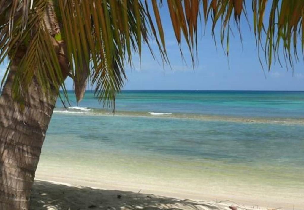 Ababor Suites Guesthouse Vieques Exterior foto
